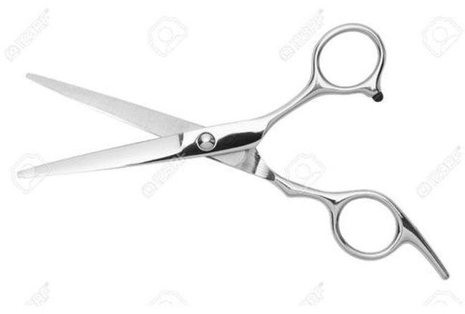 Fashion 6" Professional Hair Cutting Scissors.