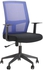 Dignity Orthopedic Office Chair with Mesh Back