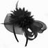 Generic Women's Small Hairpin Feather Hat Black