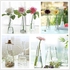 Universal Glass Vase