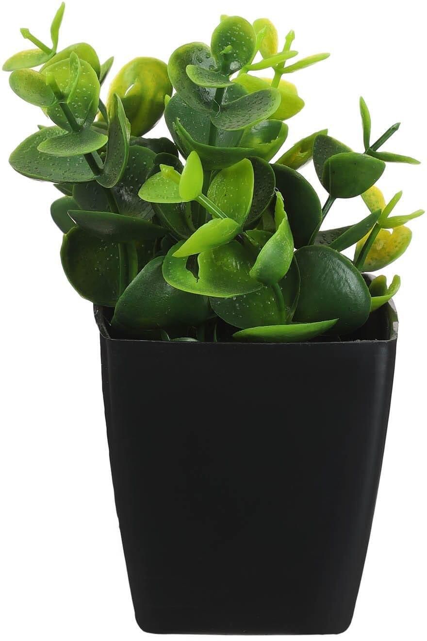 Get Round Plastic Vase, 7×5 Cm - Black Green with best offers | Raneen.com