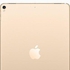 Apple iPad Pro 2017 with FaceTime - 10.5 Inch, 256GB, 4G LTE, Gold