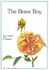 Kube Publishing - The Brave Boy- Babystore.ae