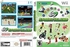 Licensed Nintendo Sports Island Wii Game - Pal