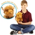 Viahart Henley The Highland Cow Soft Plush Toys for Kids, Polyester Fabric, Polypropelene Filling, Recommended Age 3+