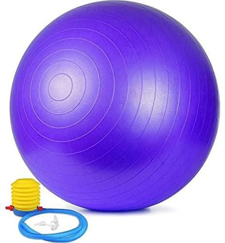 one year warranty_Aleesh 65CM Yoga Fitness Exercise Ball/Inflator Pump Pilates Gym Abdominal Training Balance Purple
