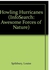 Howling Hurricanes - غلاف ورقي عادي اللغة الإنجليزية by Louise Spilsbury - 40282