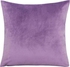 Velvet Decorative Throw Pillow Cover/Case