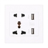Generic Outlet Panel Dual USB Port Wall Charger Station Socket Usb Wall Plug Outlet Universal Electric