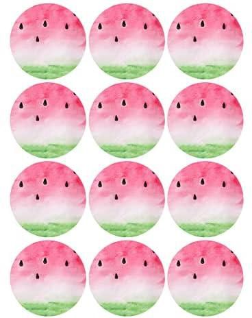 Watermelon Round Sticker - 24 Pieces