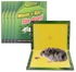 Multipurpose Non-Toxic Mouse Rat Trap Sticky Glue Board 1 Pack