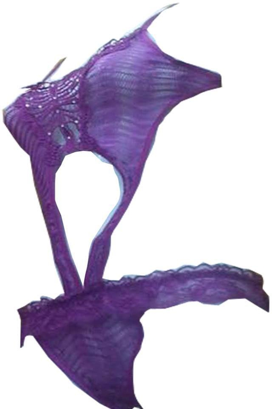 Purple Chiffon Slip