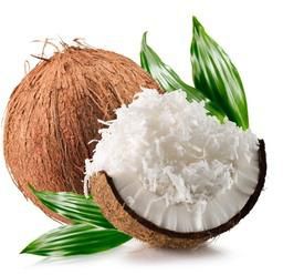 Coconut Shredded India 350 g
