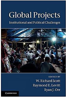 Global Projects : Institutional and Political Challenges