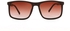 Vegas Men's Sunglasses V2102 - Brown
