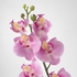 SMYCKA Artificial flower, Orchid/pink, 60 cm - IKEA