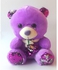 Plush Teddy Bear 2-in-1