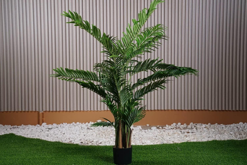 PAN Home Home Furnishings Kentia Palm Tree H120 cm Green