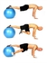 Gym Ball - For Sports Exercises