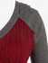 Plus Size Hooded Raglan Sleeve Colorblock Bodycon Sweater Dress - L | Us 12