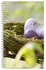 A5 Spiral Bound Printed Notebook Green/Purple/White