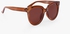 Brown D-Frame Sunglasses
