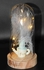 Vase Feather Cactus Blue With Fairy String Lights In Dome For Christmas Valentine's Day Gift B72 - LED Light