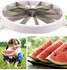 Watermelon Slicer Silver/White/Green 40x28cm