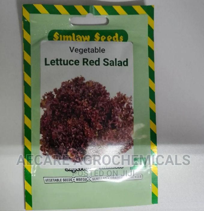 SIMLAW SEEDS Lettuce Red Salad Vegetable 10G
