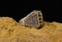 Ring With Natural Yemeni Agate Stone - Turkish Silver 925