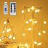 6Meters/19.6Ft 40PCS Globe Ball String Light USB Powered Operated with Controller 6H/18H Timer 3 Levels Dimmable Brightness Adjustable 8 Dynamic Lighting Modes for Holiday Festival Presen Gift Home