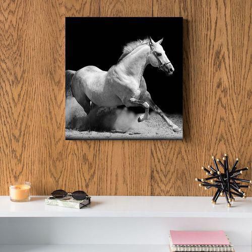 White Horse MDF Wall Art - 30x30cm