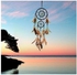Dream Catcher Net For Wall Hanging Multicolour