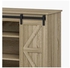 Carter Multiutility Cabinet With 3 Shelves And 2 Door