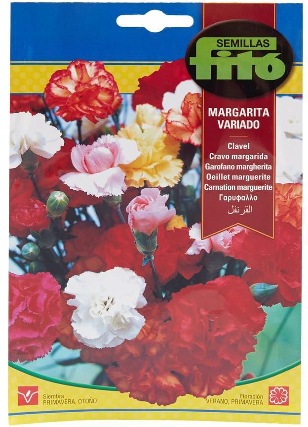 Semillas Fito Carnation Marguerite Mix