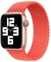 Replacement Strap Watchband For Apple Watch Series 6/SE/5/4/3/2/1 38mm - 40mm Bright Orange