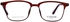 Vegas Men's Eyeglasses V2079 - Brown