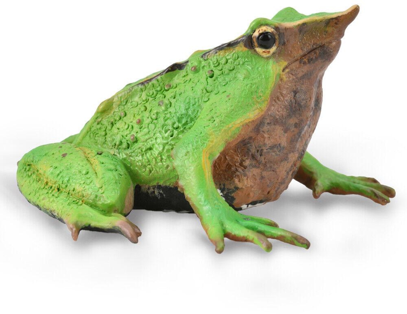 CollectA 88938 – Darwin’s Frog