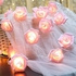 مصابيح LED على شكل سلسلة من الورود تعمل بالبطارية من فانتاسي، مثالية لحفلات الزفاف وأعياد الميلاد وديكورات المنازل والأماكن الخارجية، وقُطر الوردة كبير يبلغ 6 سم