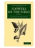 Flowers of the Field (Volume 2)