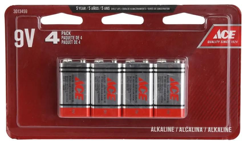 ACE Alkaline Battery Pack (9 V, 4 Pc.)