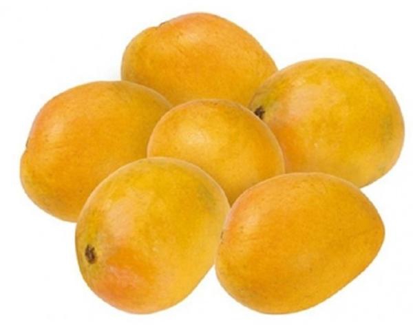 Mango Rajapuri ( India ) Per kg