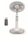 Fresh Romantic Stand Fan With Remote Control - 16" - Grey