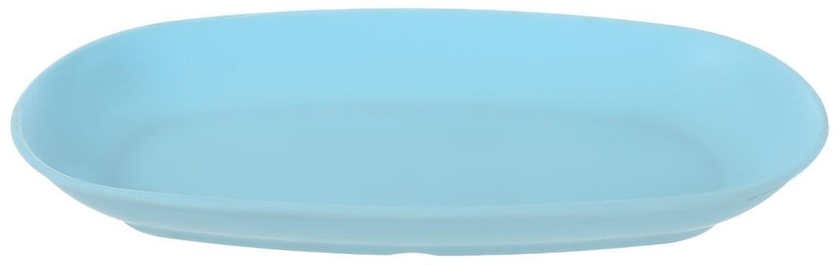 احصل على طبق بلاستيك بيضاوي الهدي، 24 سم - ازرق فاتح مع أفضل العروض | رنين.كوم