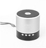 Robot 068BT Bluetooth Speaker (With MP3 & FM Radio) - Silver