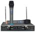 Max DH 769 Professinal Wireless Microphone