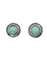Faux Turquoise Rhinestone Circle Earring Set