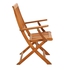 THB Eucalyptus Wood Folding Chair W/Armrest Generic (59.5 x 57 x 94 cm, 2 Pc.)