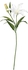 SMYCKA Artificial flower - Lily/white 85 cm