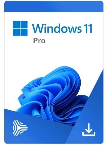 Microsoft Windows 11 Professional License Key